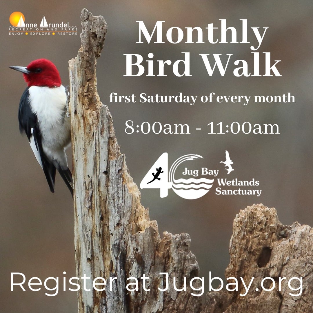 Bird Walk announcement