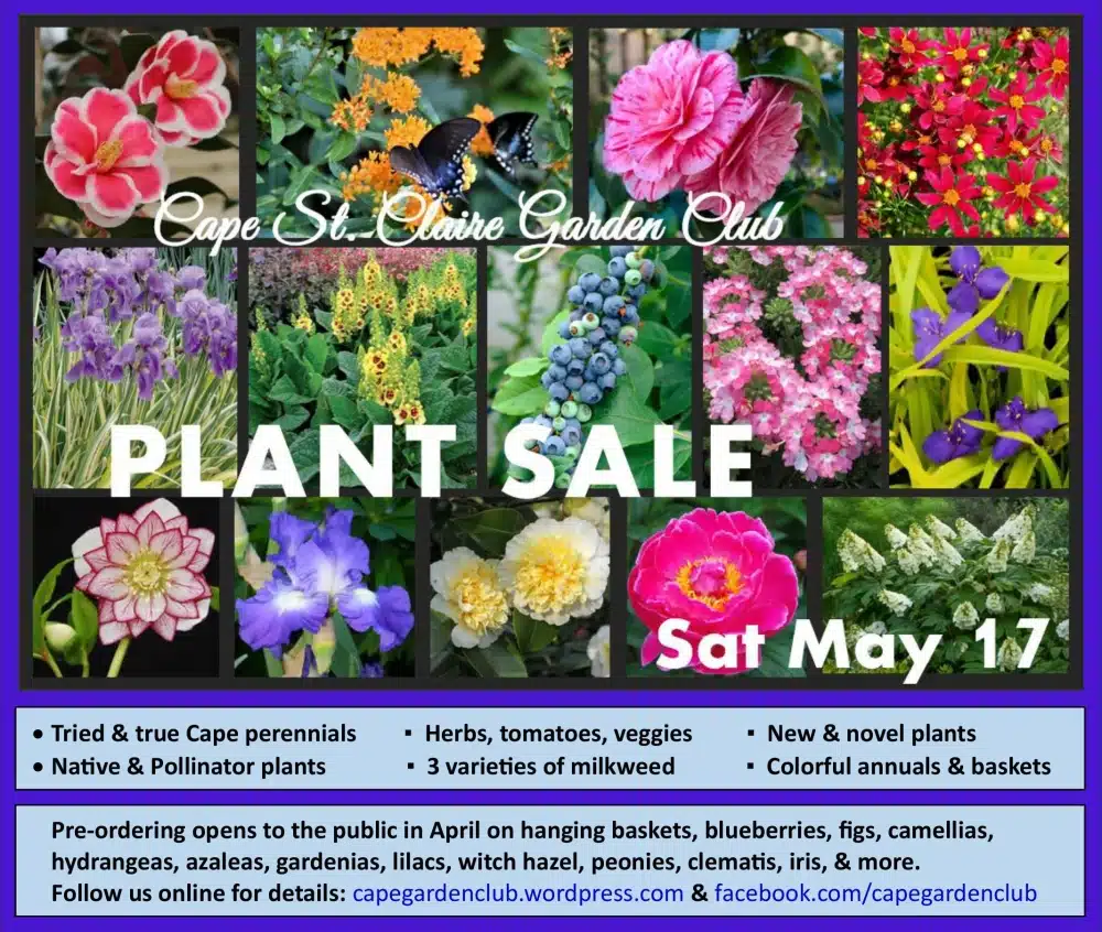 Plant Sale