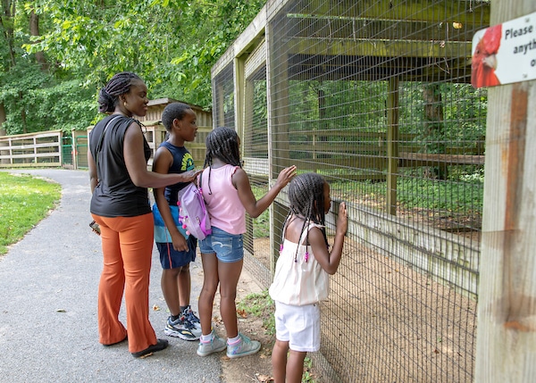 Family Farm Tour