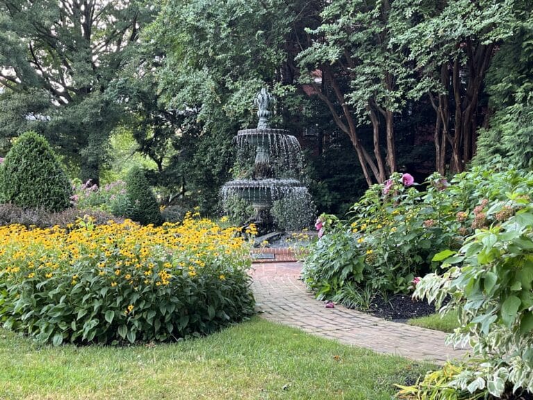 Native Flower Garden at the Maryland Governor's House