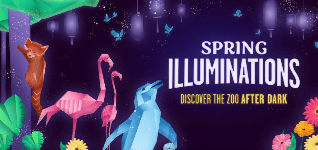 Maryland Zoo Spring Illuminations