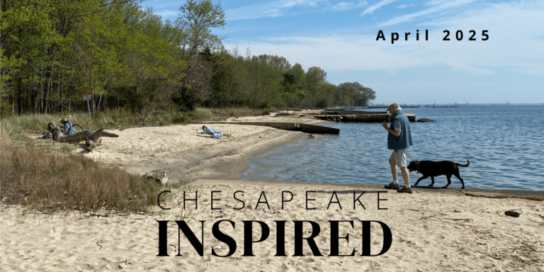 April 2025 Issue- Chesapeake Inspired