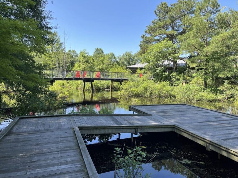 Discover Adkins Arboretum, an Exceptional Experience in nature