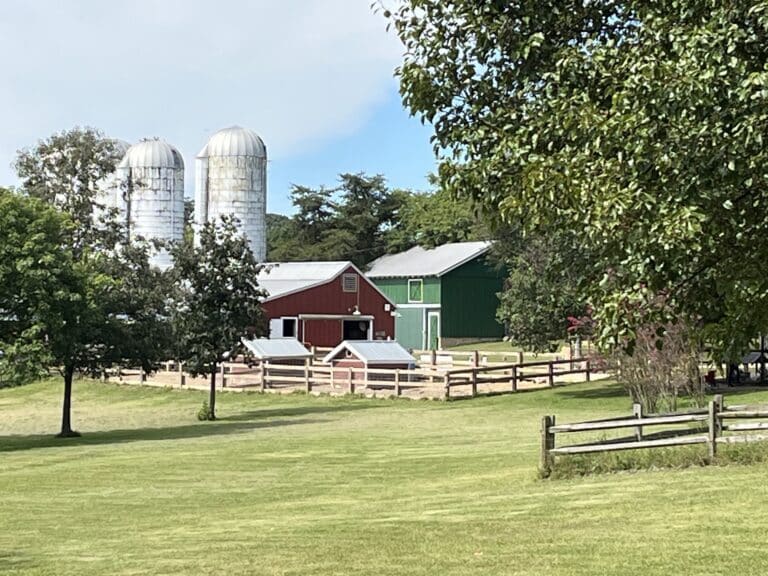 Exploring Kinder Farm Park