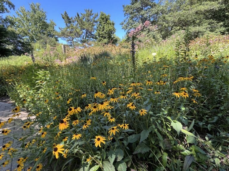 Tawes Garden: A Guided Tour