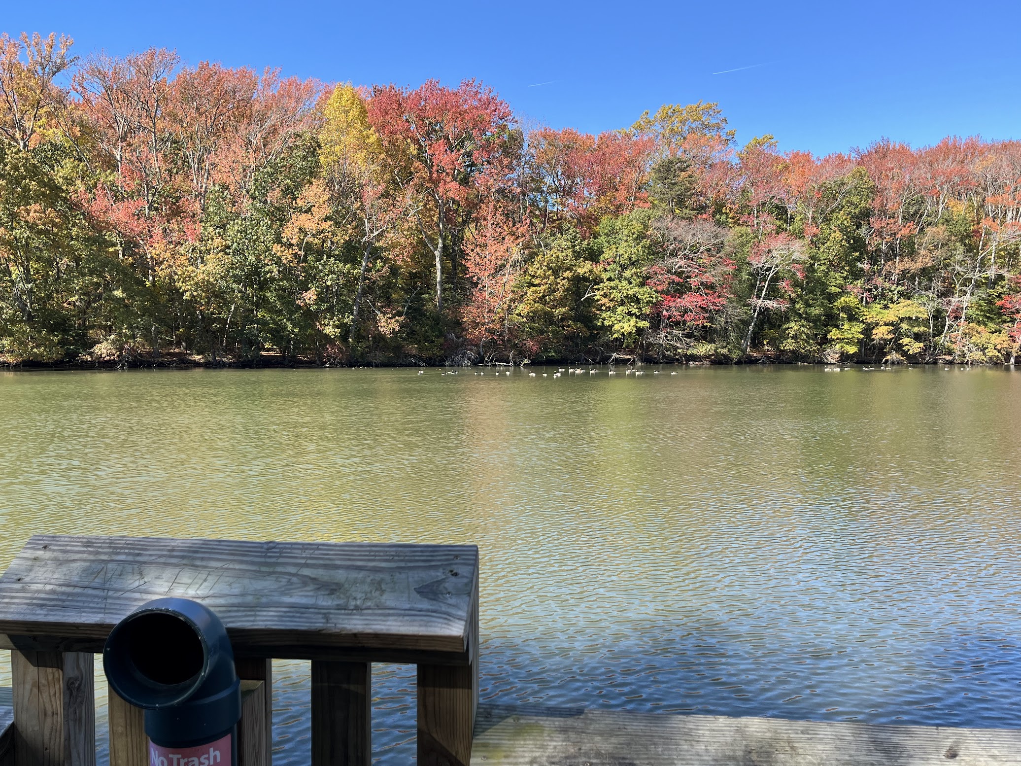Best Places to See Fall Foliage and Colors in Maryland