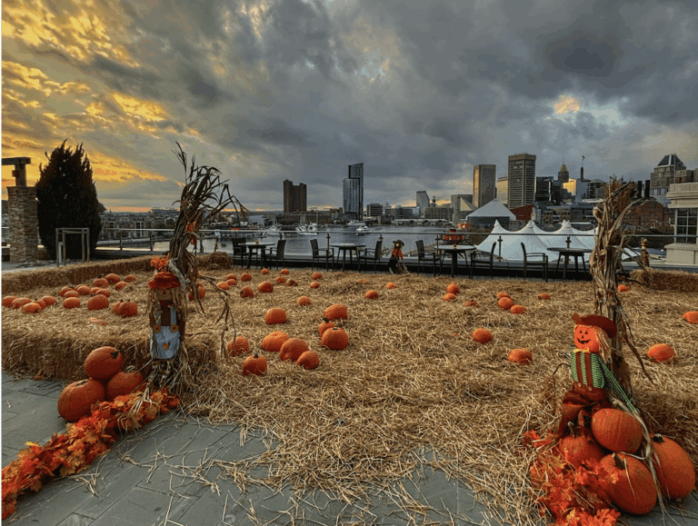 Maryland-Themed Halloween Costumes with Local Flavor