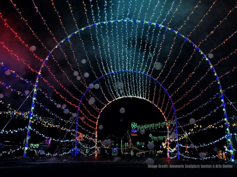 Top 10 Holiday Light Displays in Maryland