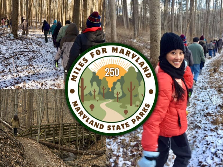 250 Miles For Maryland Hiking Challenge