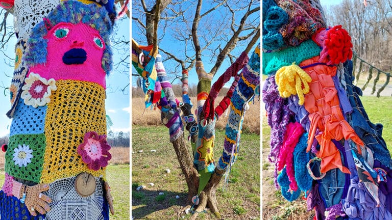 Yarnstorming at Adkins Arboretum